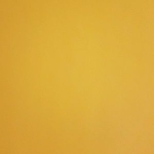 Meet your Posher, Moshe